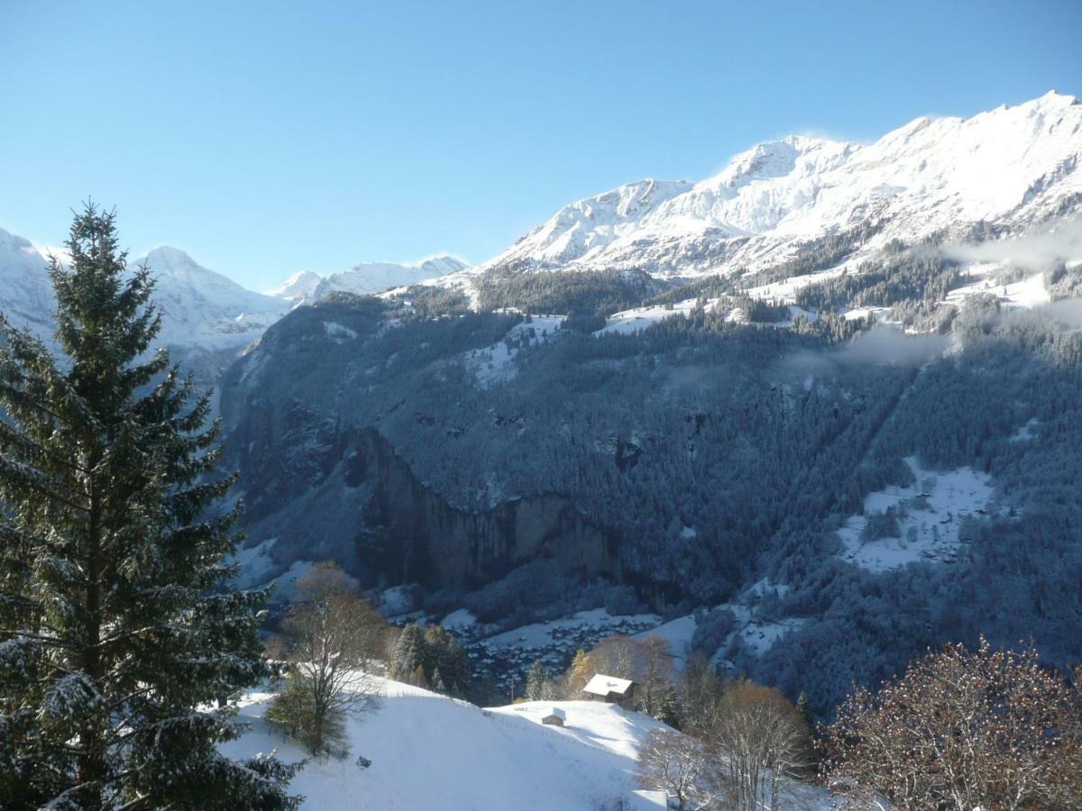 Holiday Flat #1, Chalet Aberot, Wengen, Switzerland Kültér fotó